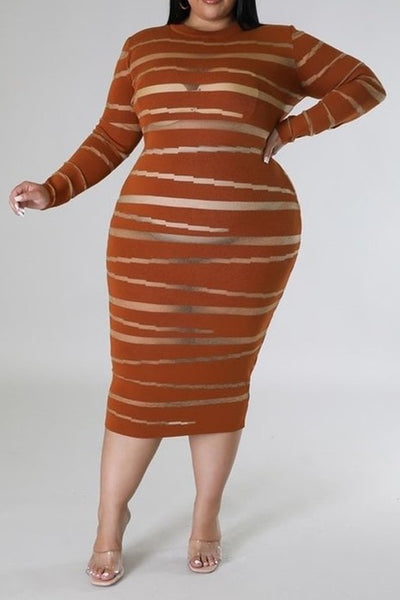Round Neckline Long Sleeve Sheer Midi Dress