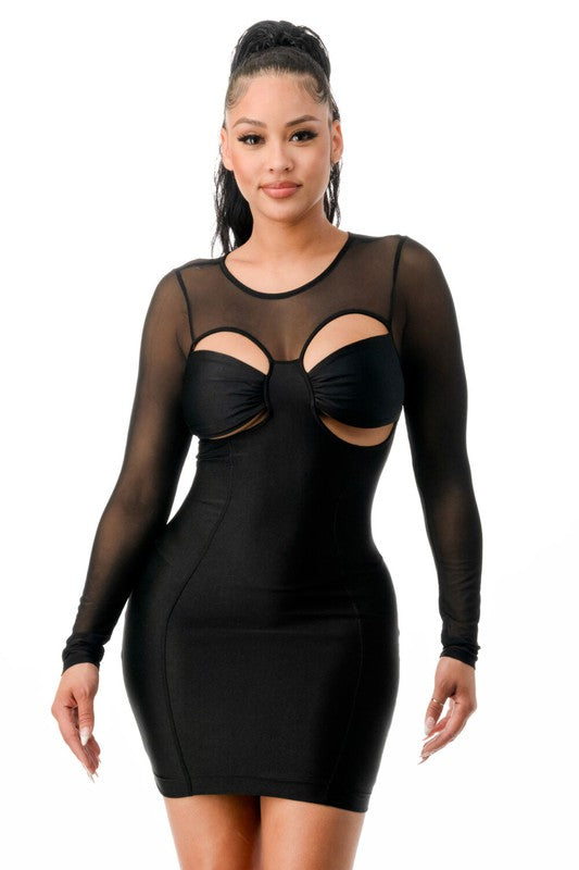 Long Sleeve Mesh Mini Dress